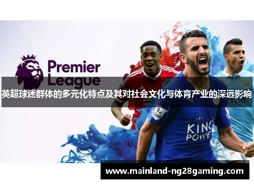 英超球迷群体的多元化特点及其对社会文化与体育产业的深远影响